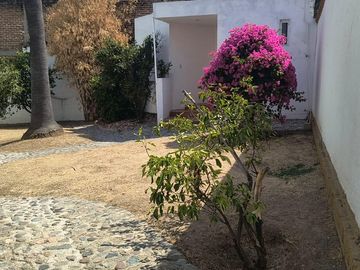 place photo 50