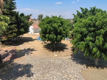 place photo 39