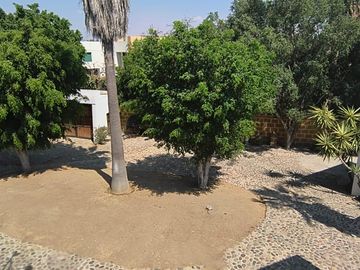 place photo 38