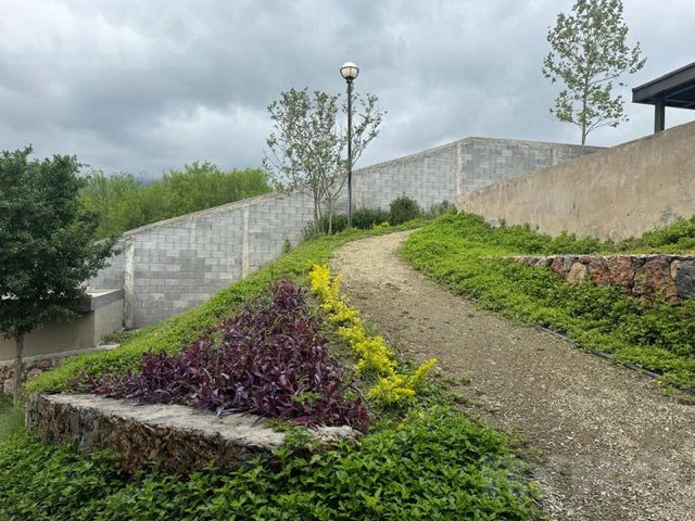 place photo 47