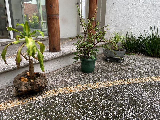 place photo 43