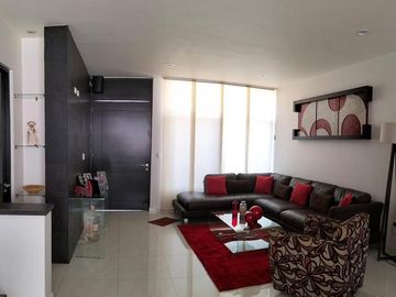 place photo 24