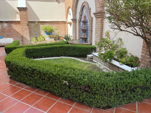 place photo 25