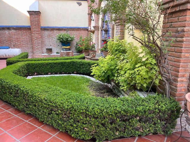place photo 33