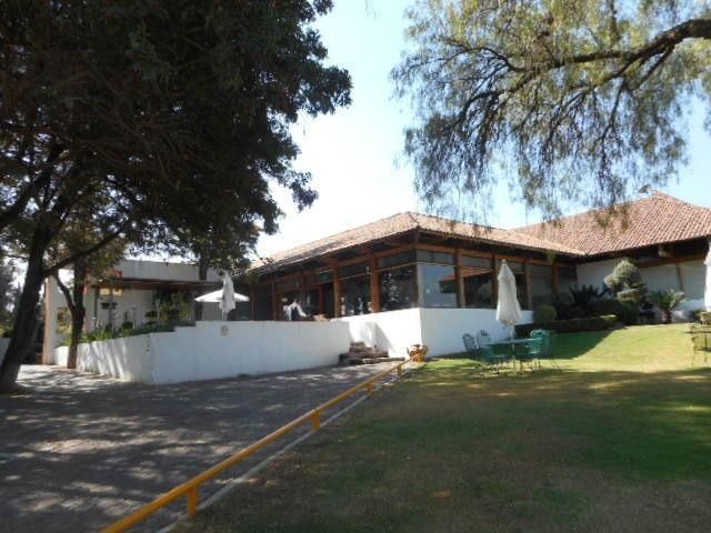 place photo 37