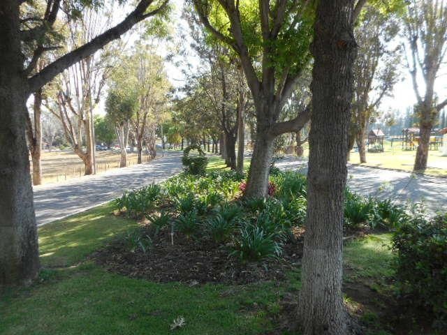 place photo 42