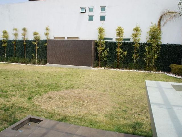 place photo 83