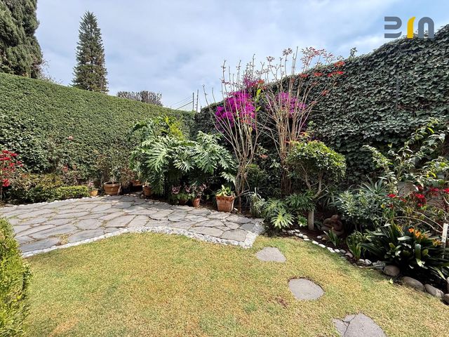 place photo 46