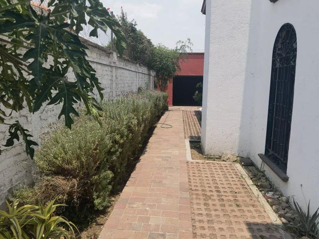place photo 50