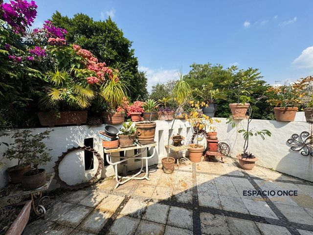 place photo 27