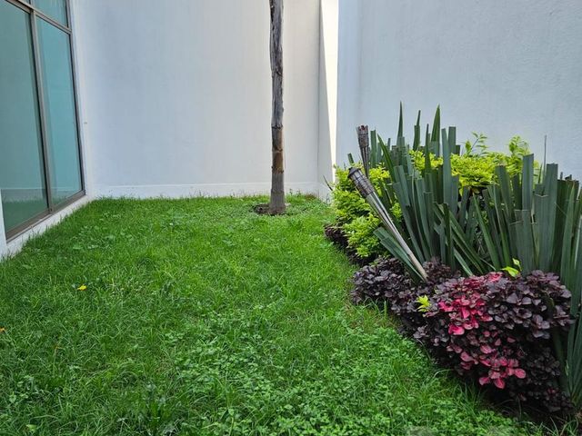 place photo 55