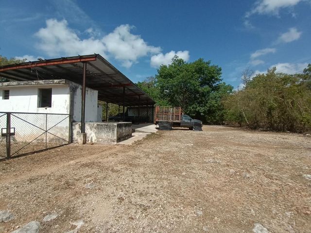 place photo 17