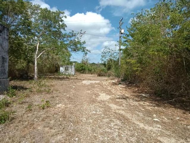 place photo 10