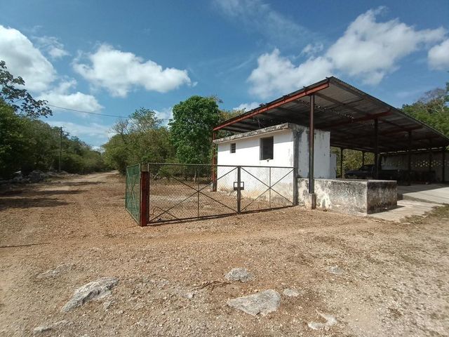 place photo 16