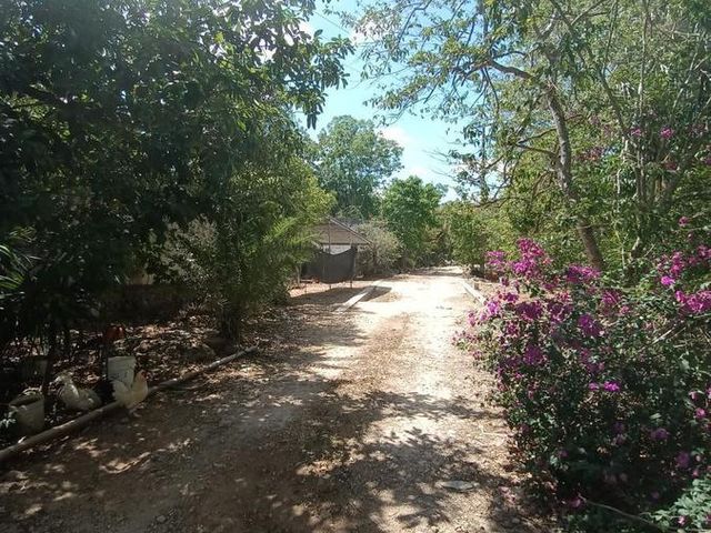 place photo 8