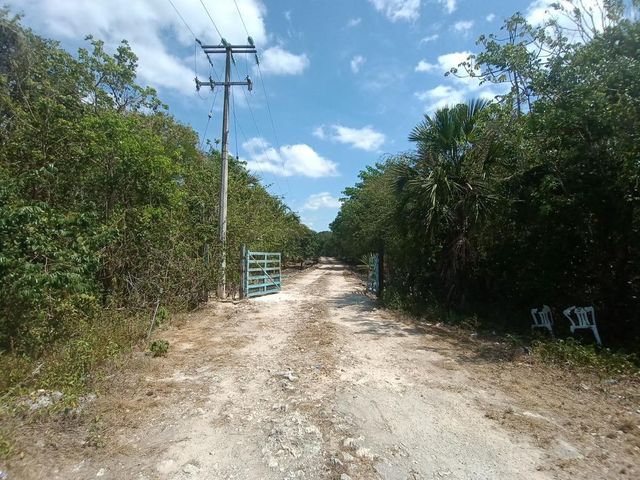place photo 10