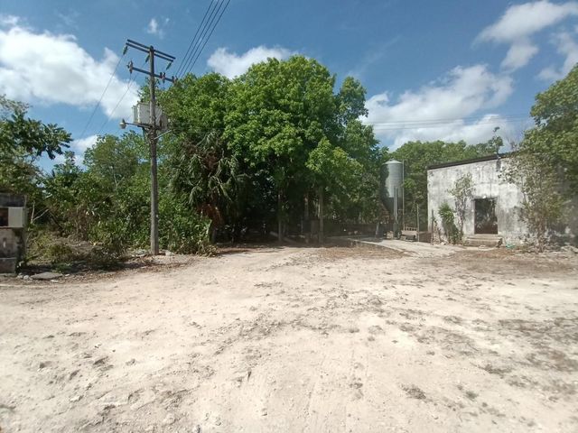 place photo 5