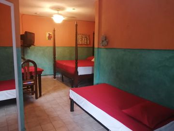 place photo 11