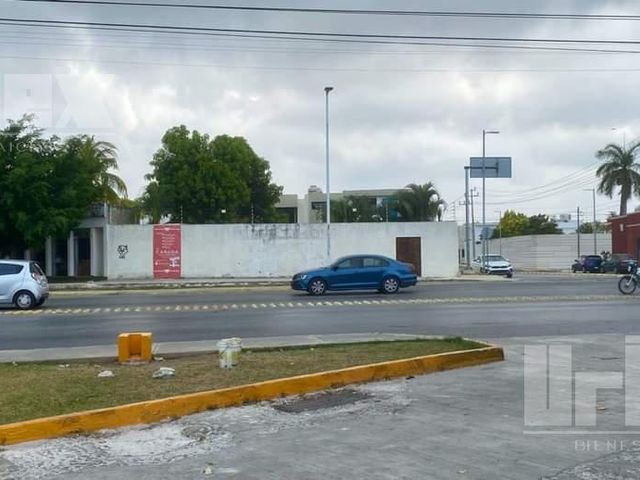 place photo 14