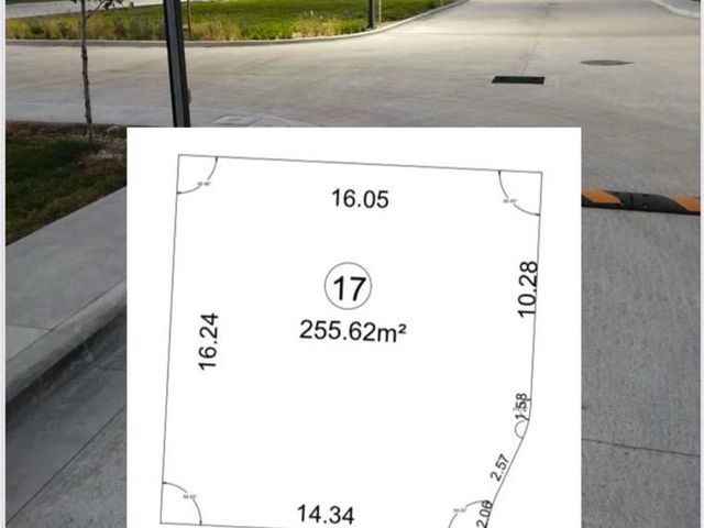 place photo 14