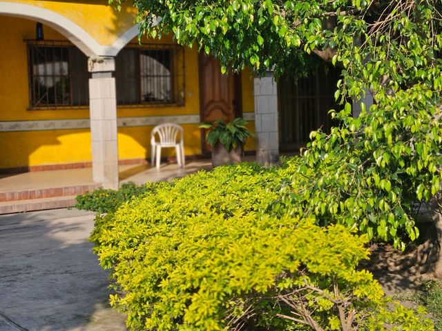 place photo 36