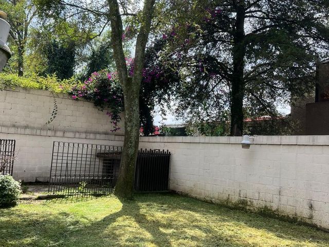 place photo 48