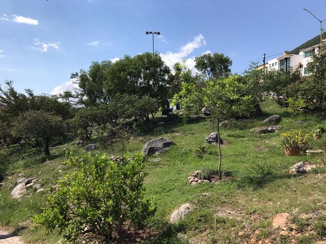 place photo 30