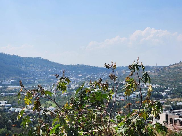 place photo 11