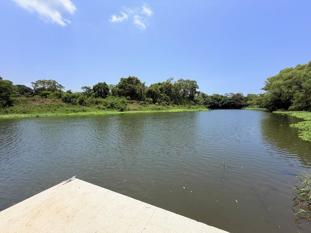 place photo 30