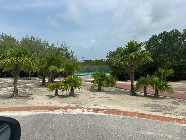 place photo 19