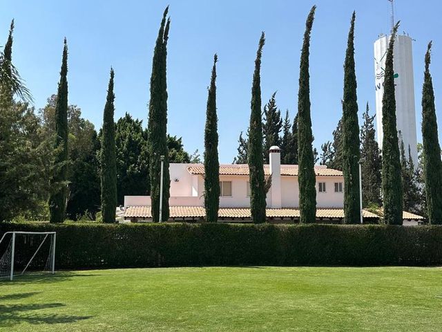 place photo 38