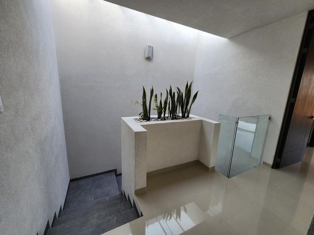 place photo 52