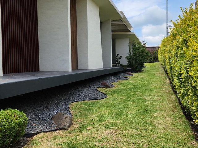 place photo 54