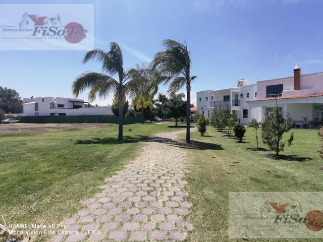 place photo 43