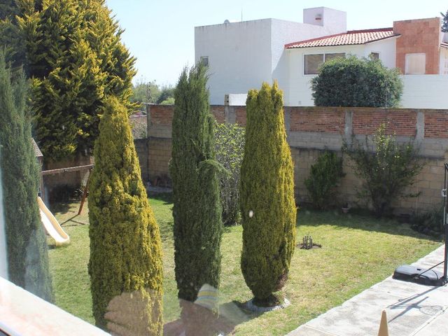 place photo 31