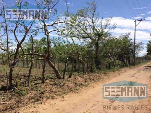 place photo 15