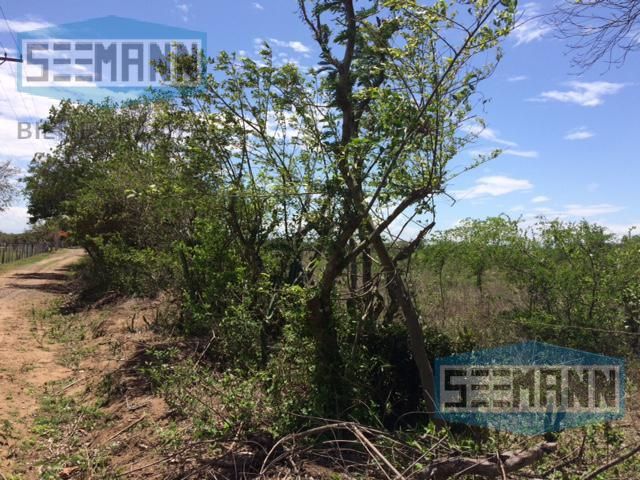 place photo 30