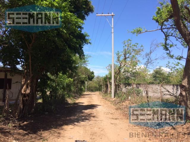 place photo 22