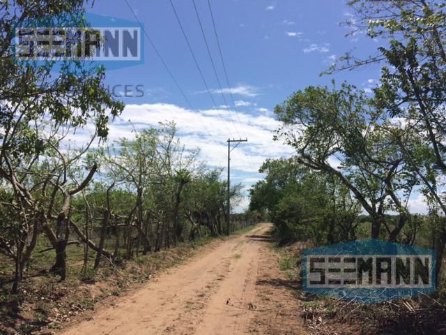 place photo 24