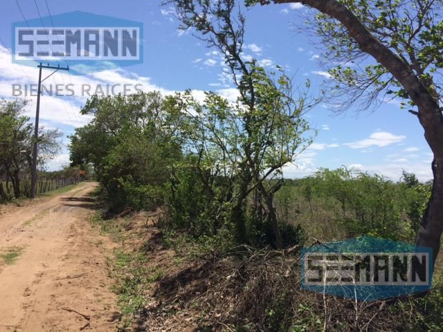 place photo 17