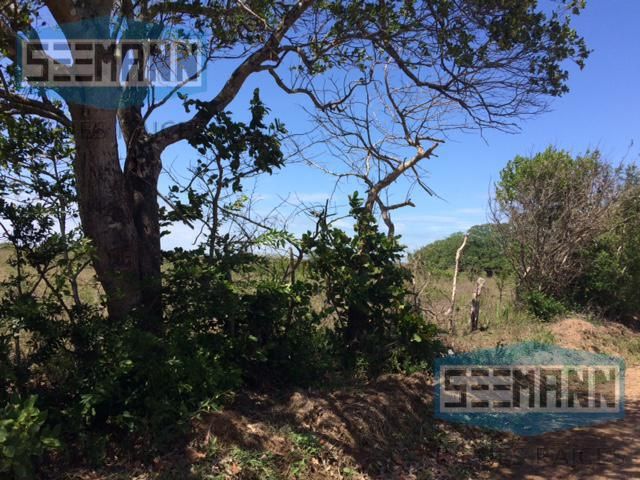 place photo 32