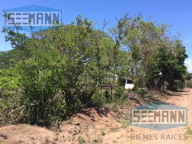 place photo 28