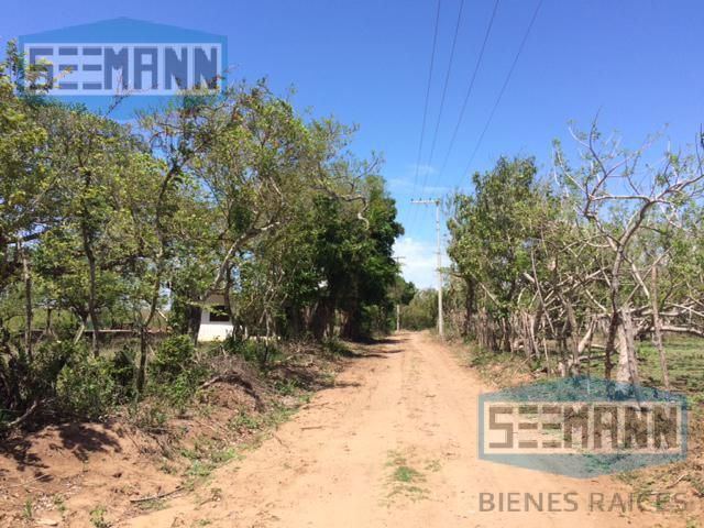 place photo 29