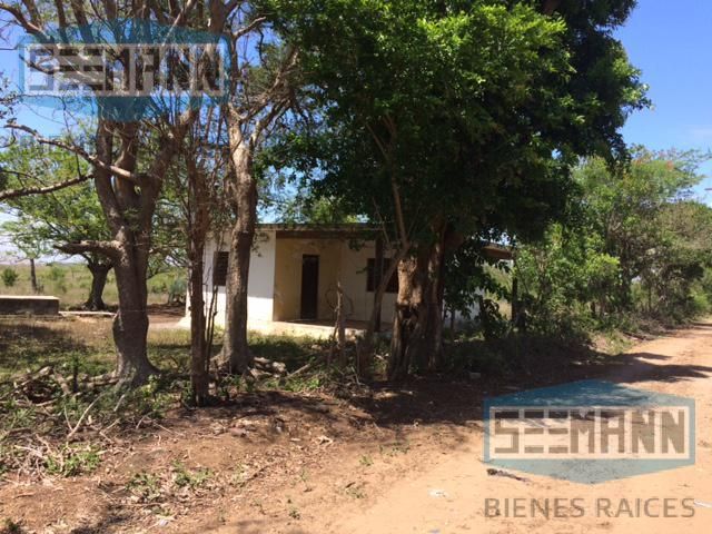 place photo 23