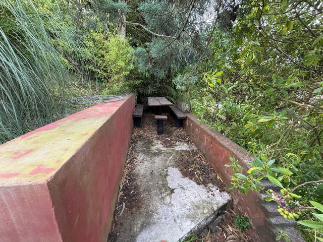 place photo 37