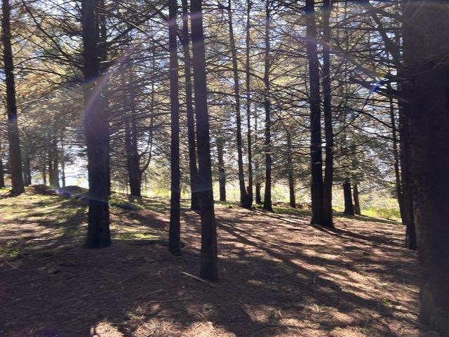 place photo 25