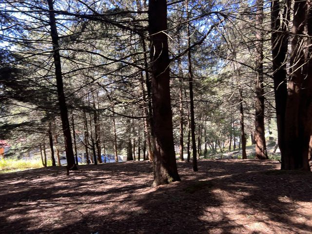 place photo 27