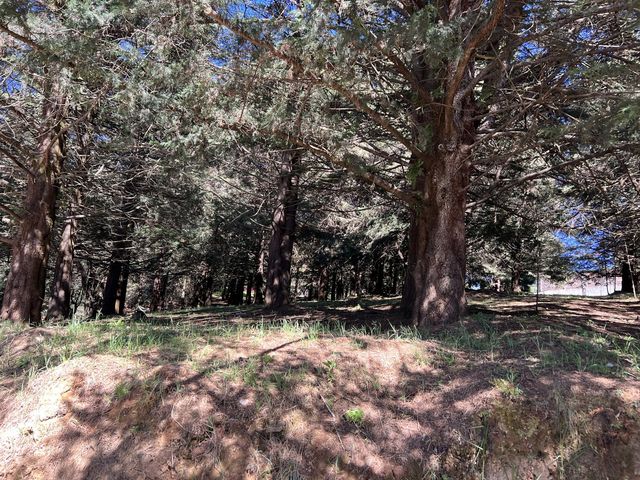 place photo 35