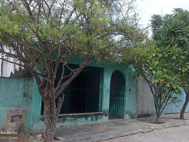 place photo 37