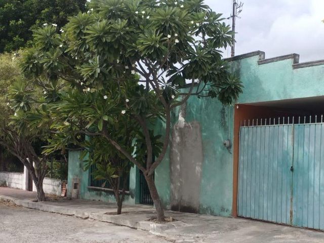 place photo 36